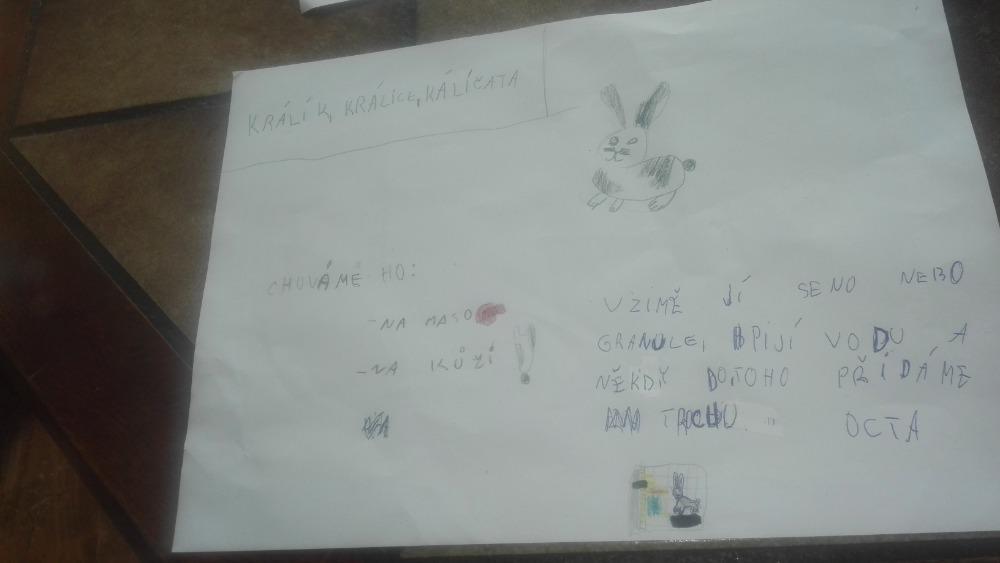 Výstupy druháčků z domácího učení 20. 4. - 8
