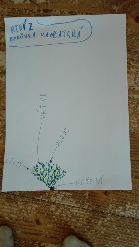 Výstupy druháčků z domácího učení 6. 4. - 11