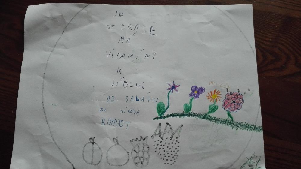 Výstupy druháčků z domácího učení 21. 5. - 10