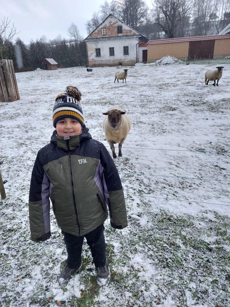 Distanční výuka v 1. třídě pokračuje :-) - 25