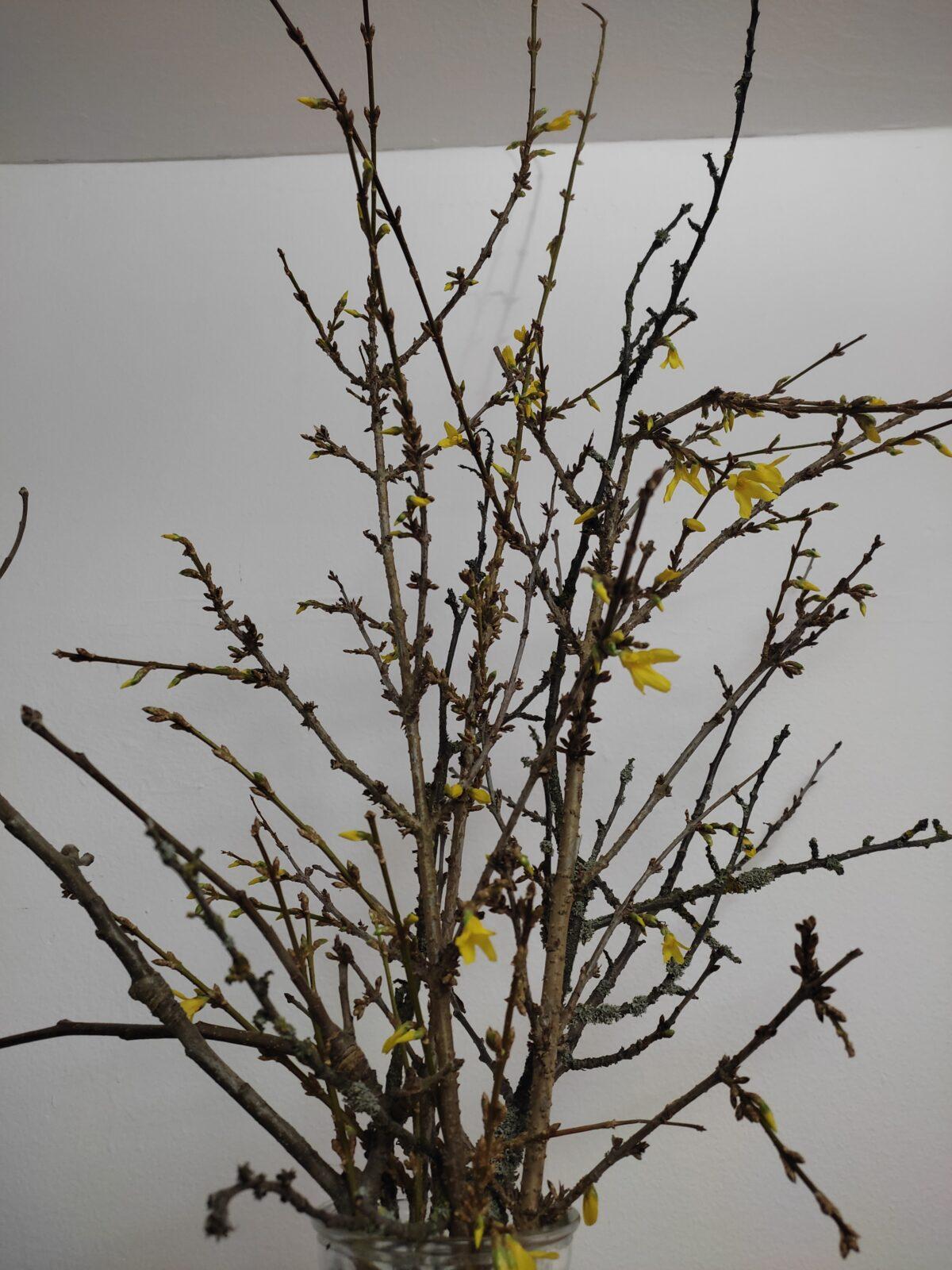 První zkušenost prvňáčků s distanční výukou - 26