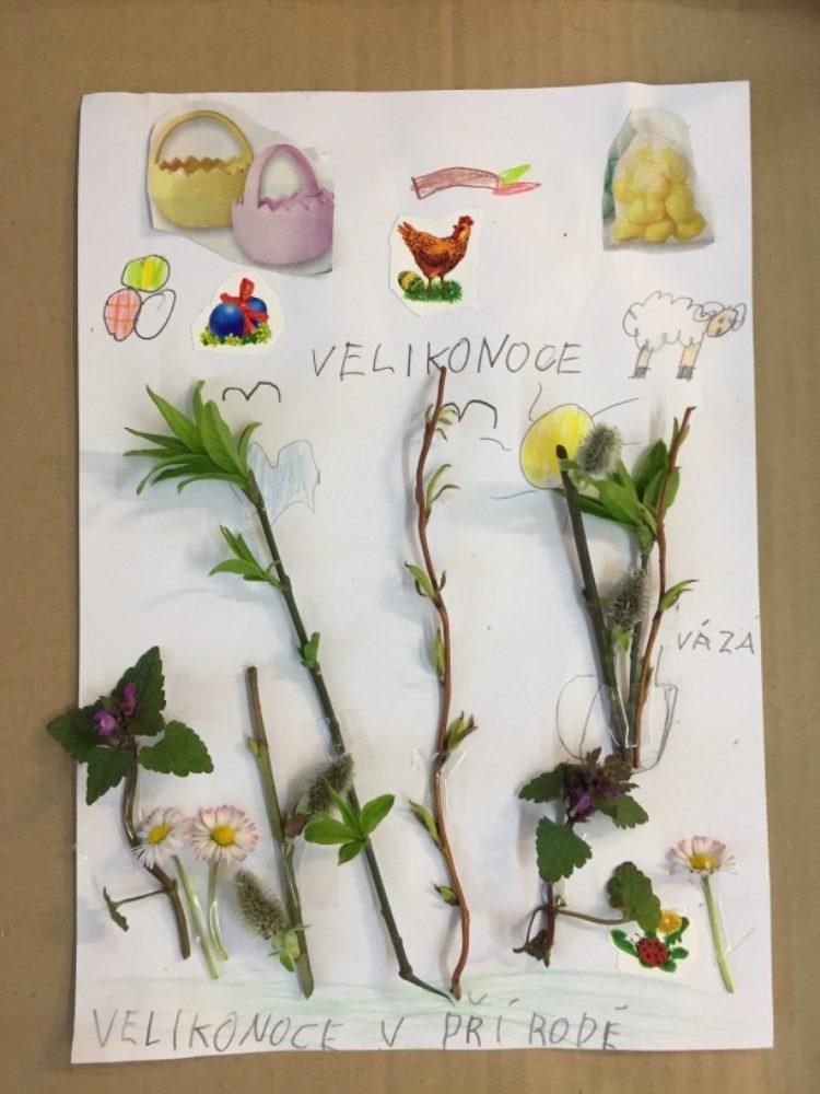 Aktivity druháčků v rámci domácího učení - 12