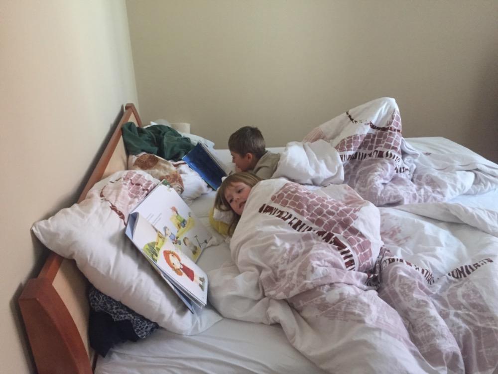 Výstupy druháčků z domácího učení 2. 4. - 7