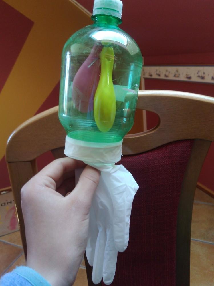 Laboratorní práce z Biologie člověka - 8. třída - 7