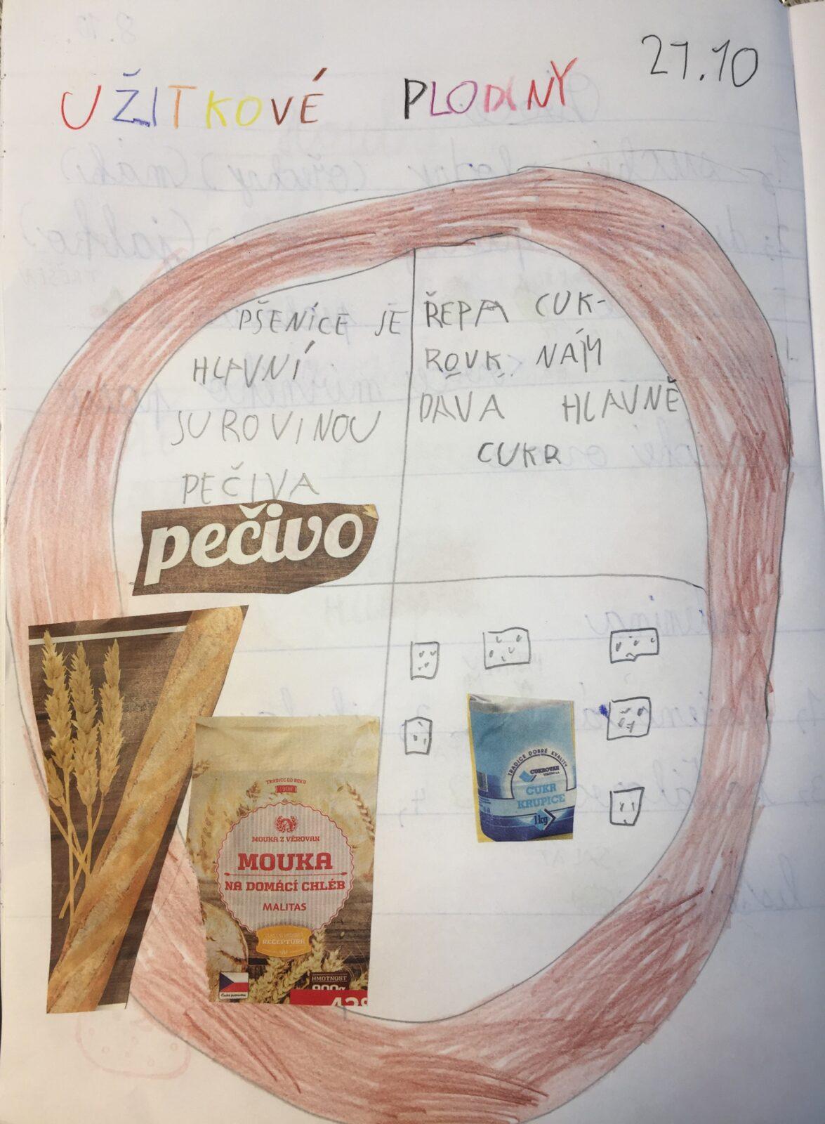 Distanční výuka ve třetí třídě 23. 10. - 27