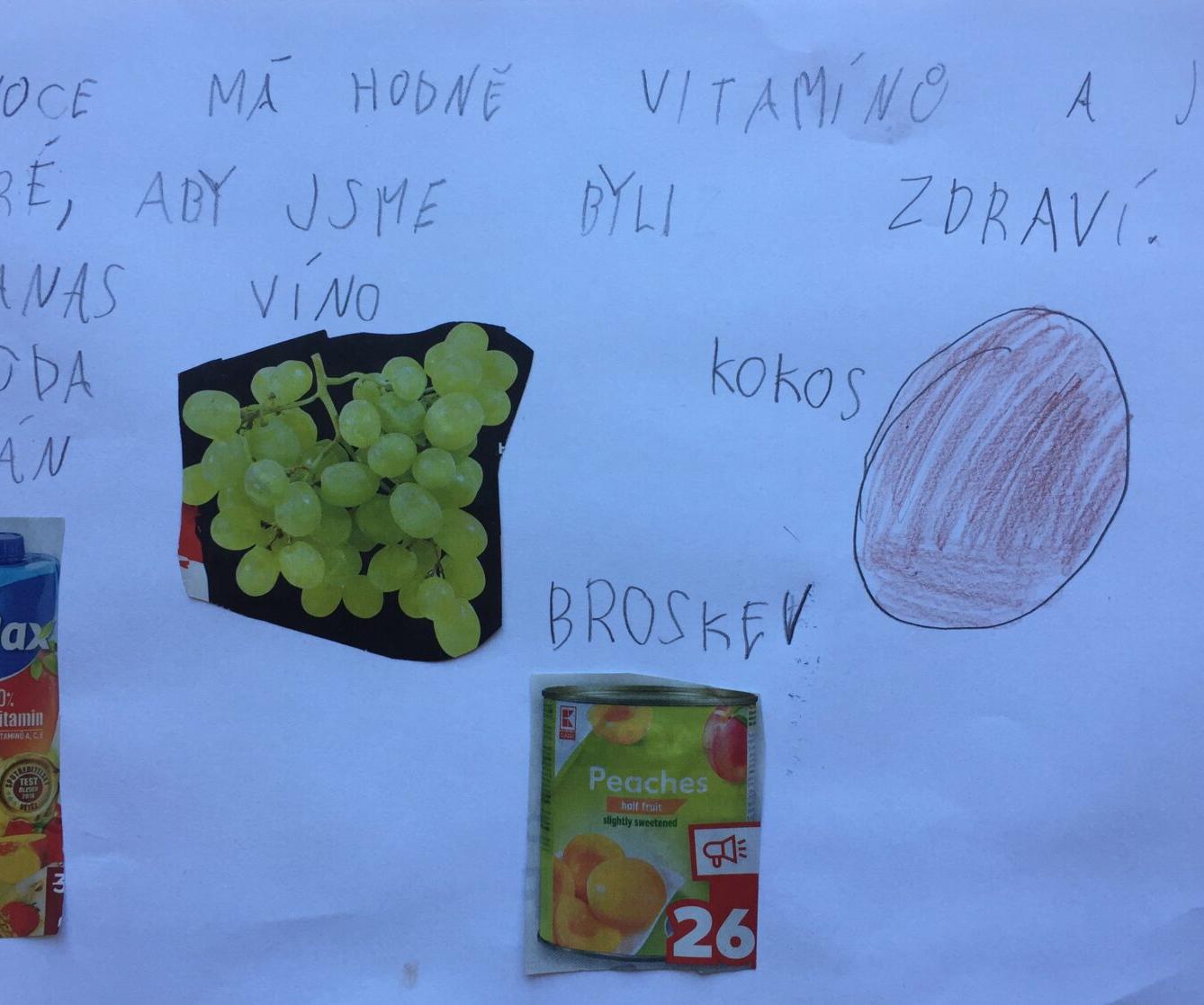 Výstupy druháčků z domácího učení 24. 5. - 27