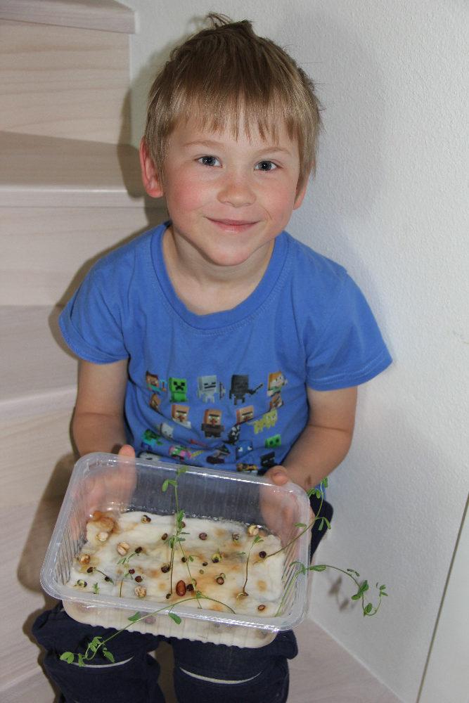 Výstupy druháčků z domácího učení 8. 5. - 11