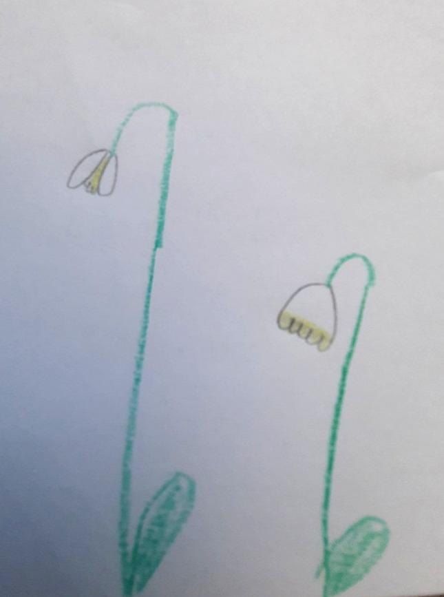 21. 3. Distanční výuka u prvňáčků - 20