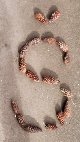 14. 3. distanční výuka u prvňáčků - 22