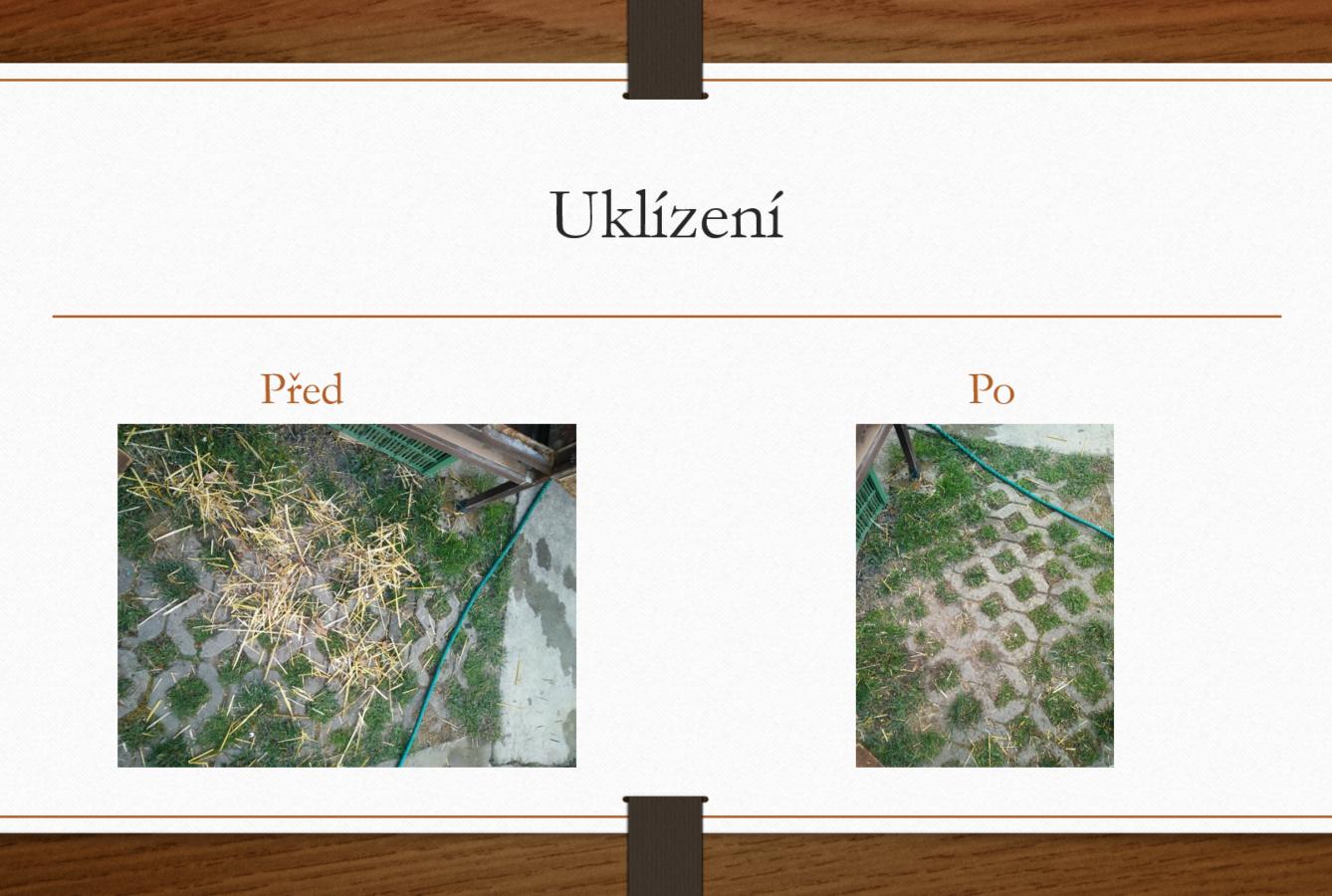 Nejlepší učitelé se zrodili v šestém ročníku! :-) - 14