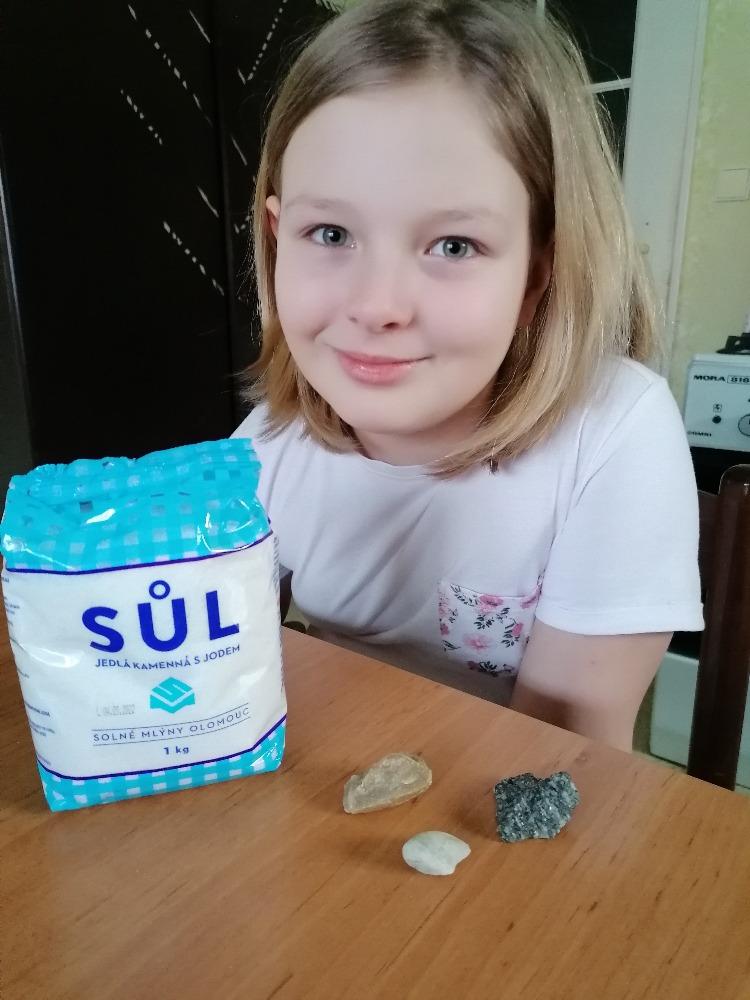 Distanční výuka ve třetí třídě 26. 2. - 36