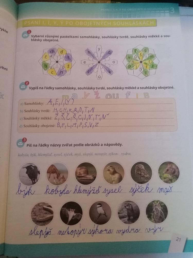 Distanční výuka ve třetí třídě 13. 11. - 41