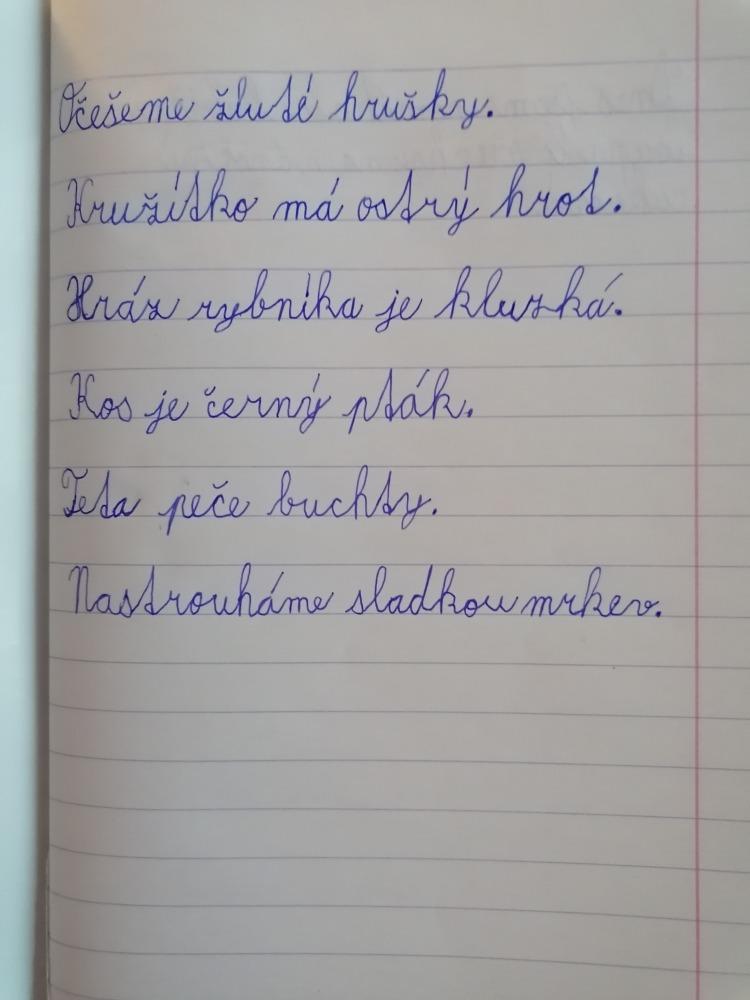 Distanční výuka ve třetí třídě 6. 11. - 39