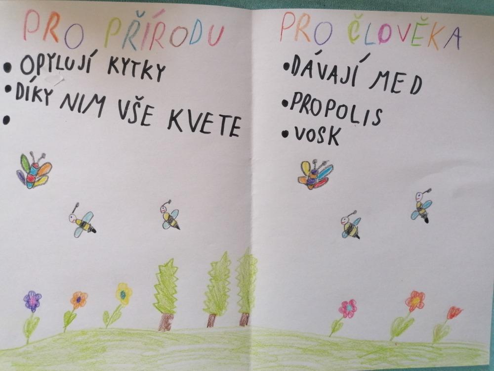 Výstupy druháčků z domácího učení 8. 4. - 15