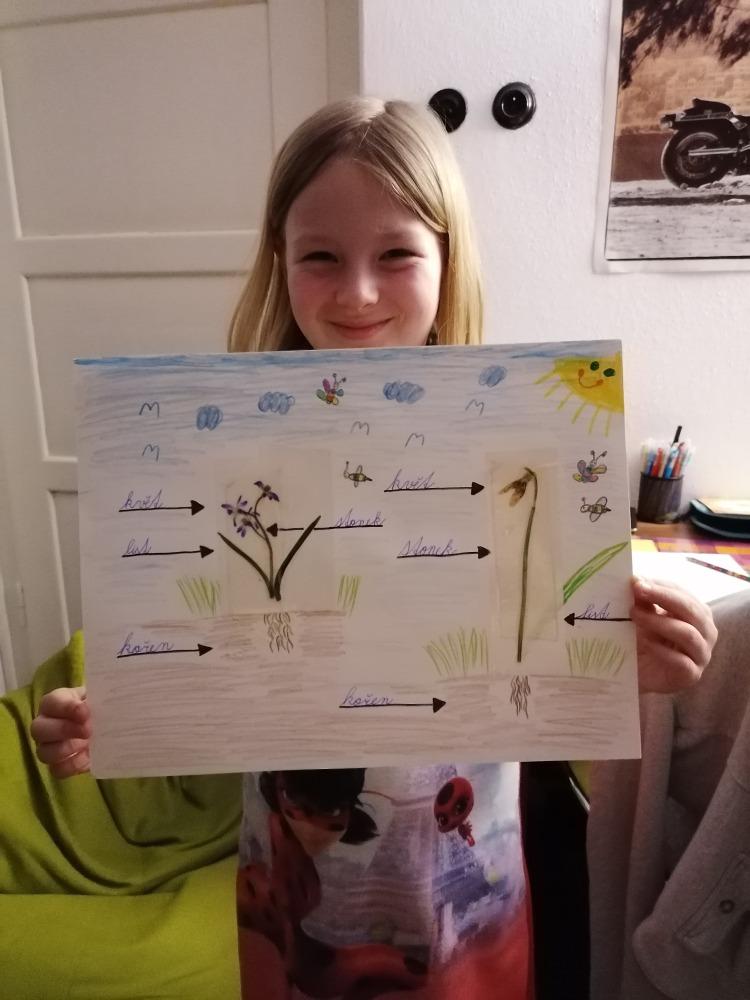 Výstupy druháčků z domácího učení 8. 4. - 17