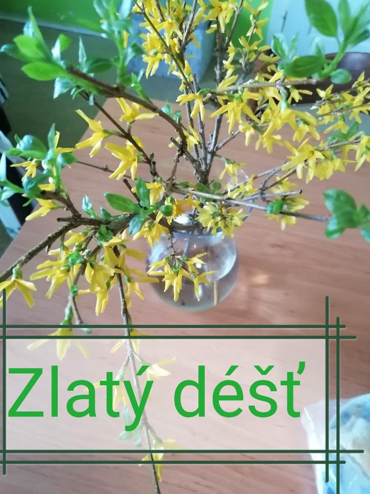 Distanční výuka ve třetí třídě 16. 4. - 24