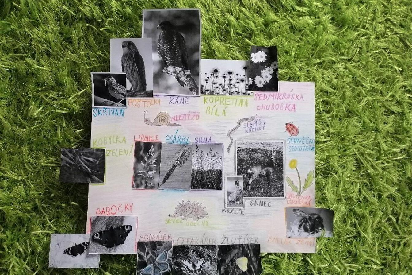 Výstupy druháčků z domácího i školního učení 10. 6.