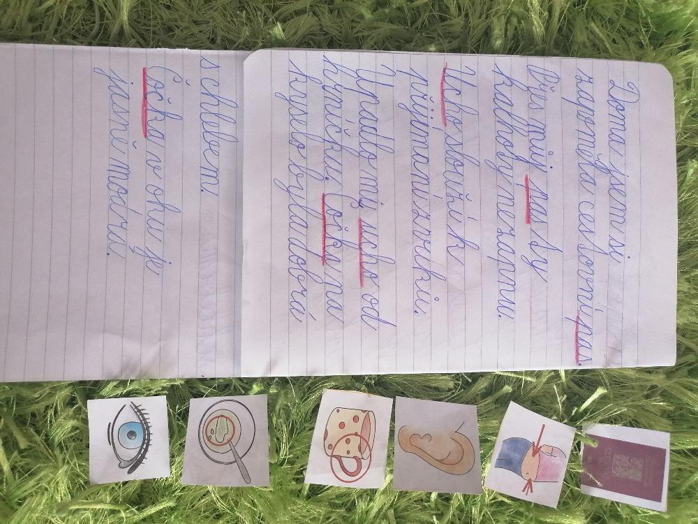 Výstupy druháčků z domácího učení 12. 5. - 26