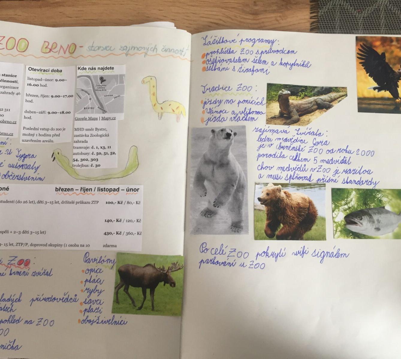 Distanční výuka v 5.B - 15