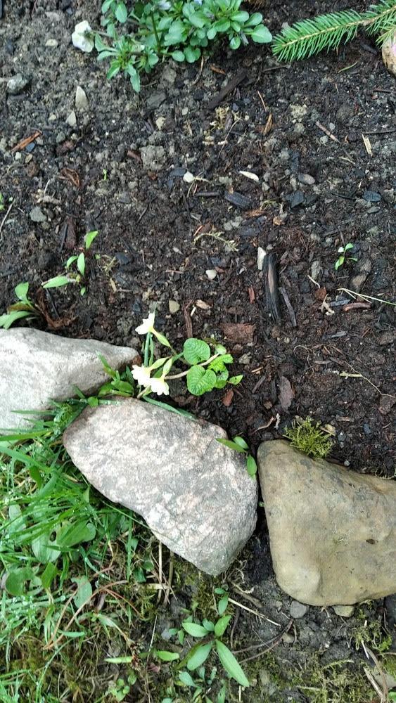 Distanční výuka ve třetí třídě 16. 4. - 28