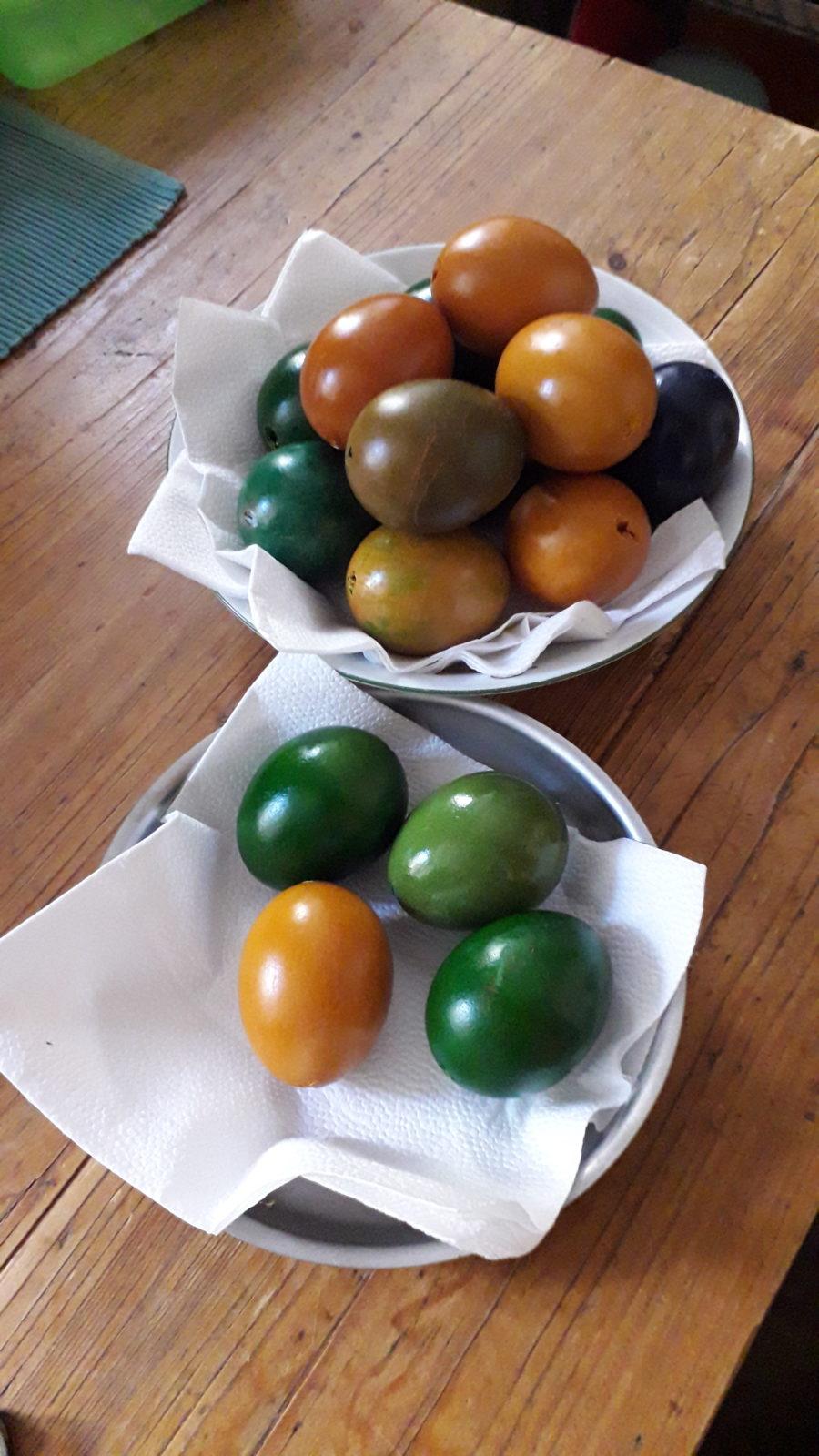 Výstupy druháčků z domácího učení 14. 4. - 29