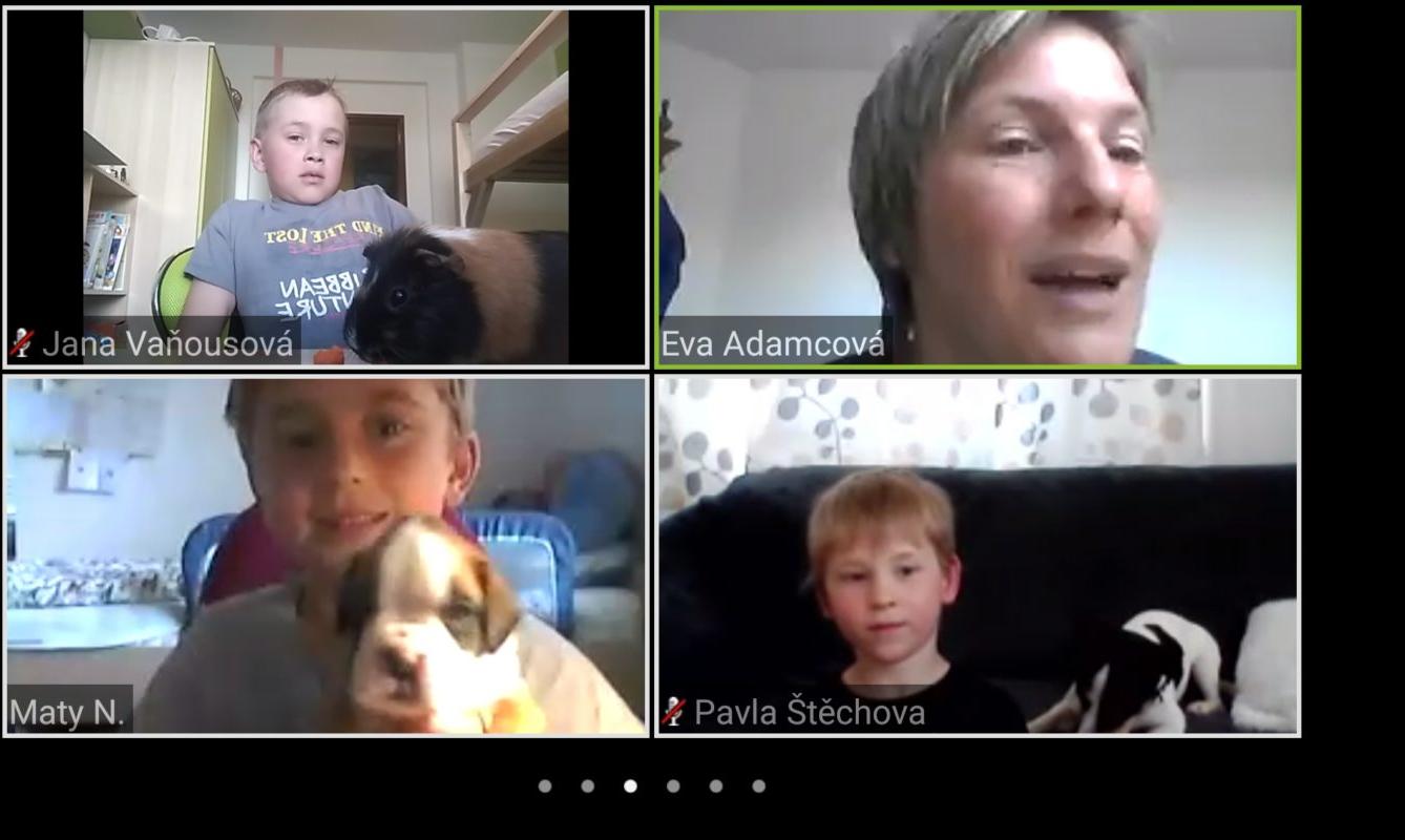 Výstupy druháčků z domácího učení 22. 4. - 16