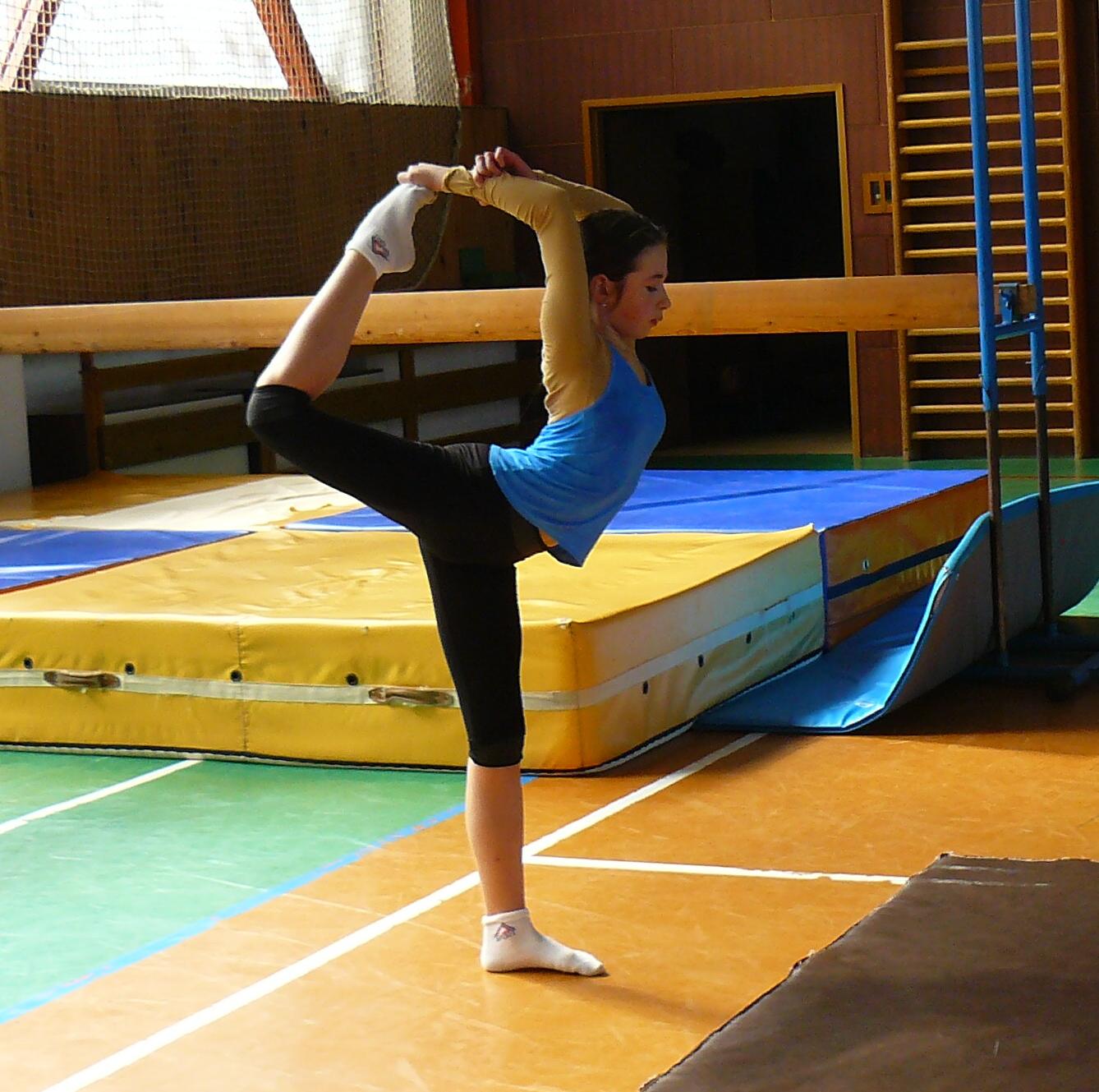 XVII. ročník školního kola SPORTOVNÍ GYMNASTIKY - 4