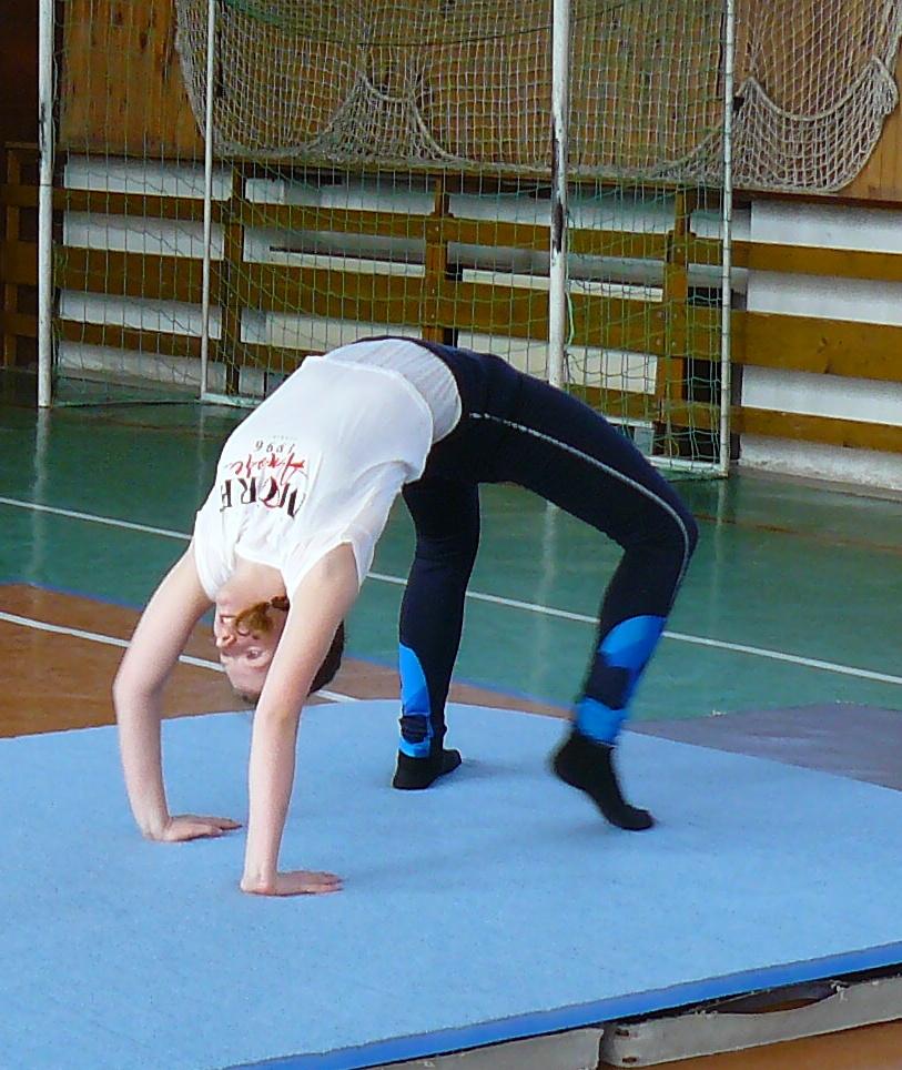 XVII. ročník školního kola SPORTOVNÍ GYMNASTIKY - 7