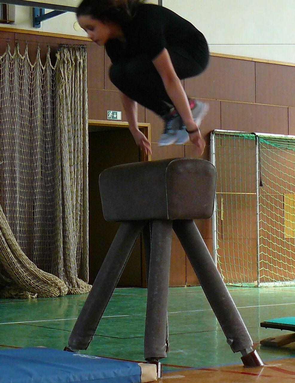 XVII. ročník školního kola SPORTOVNÍ GYMNASTIKY - 10