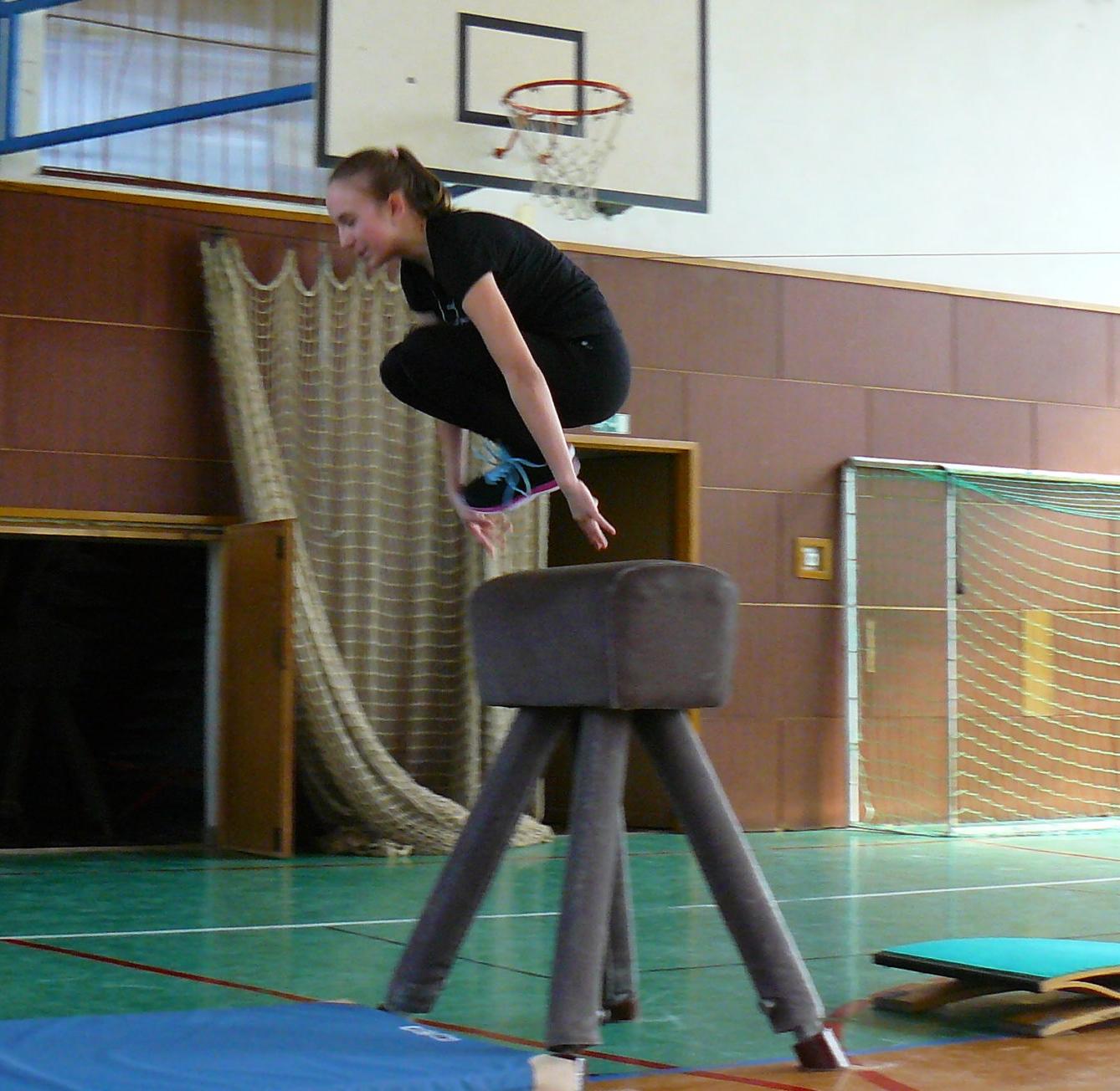 XVII. ročník školního kola SPORTOVNÍ GYMNASTIKY - 12