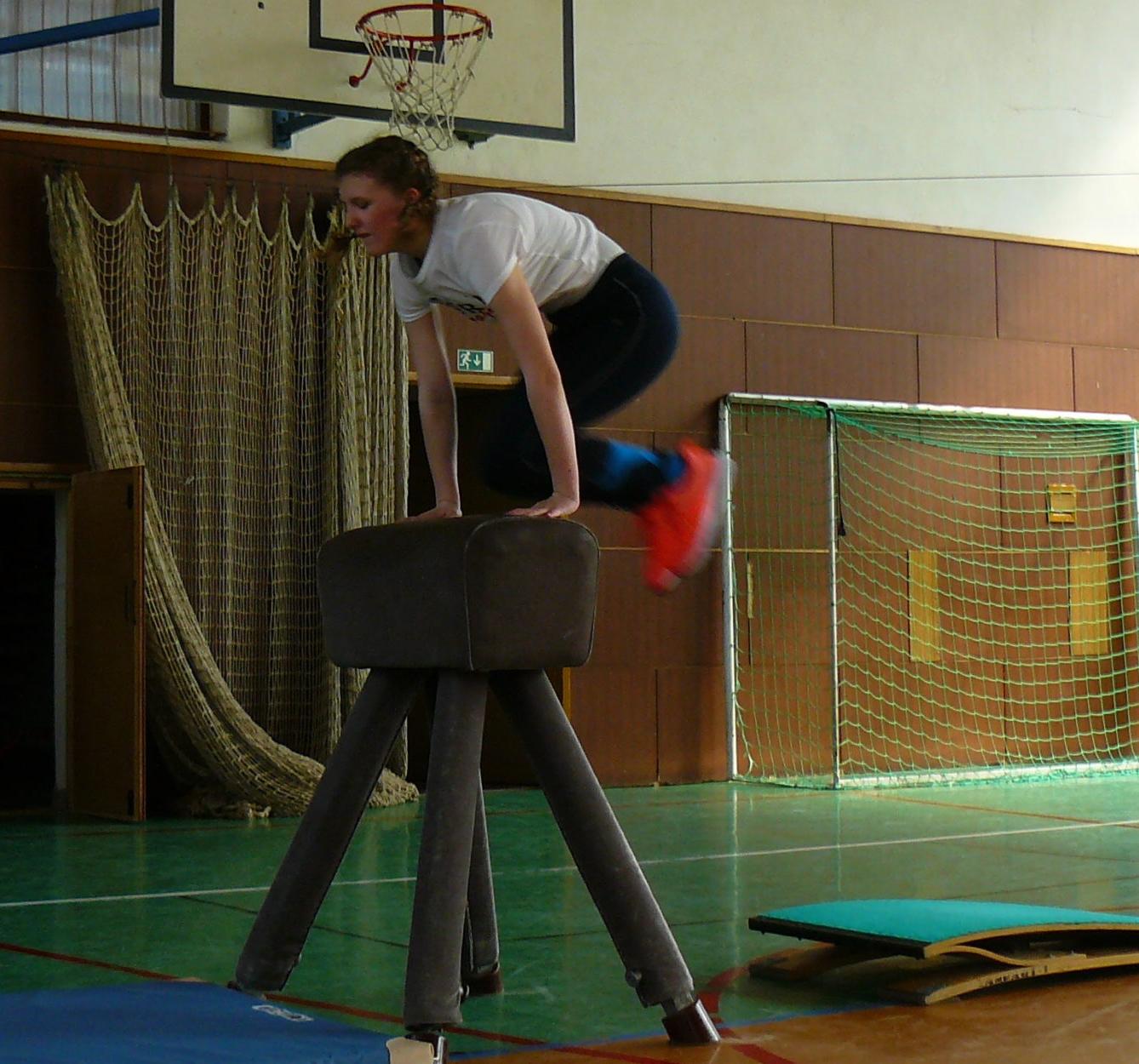 XVII. ročník školního kola SPORTOVNÍ GYMNASTIKY - 13