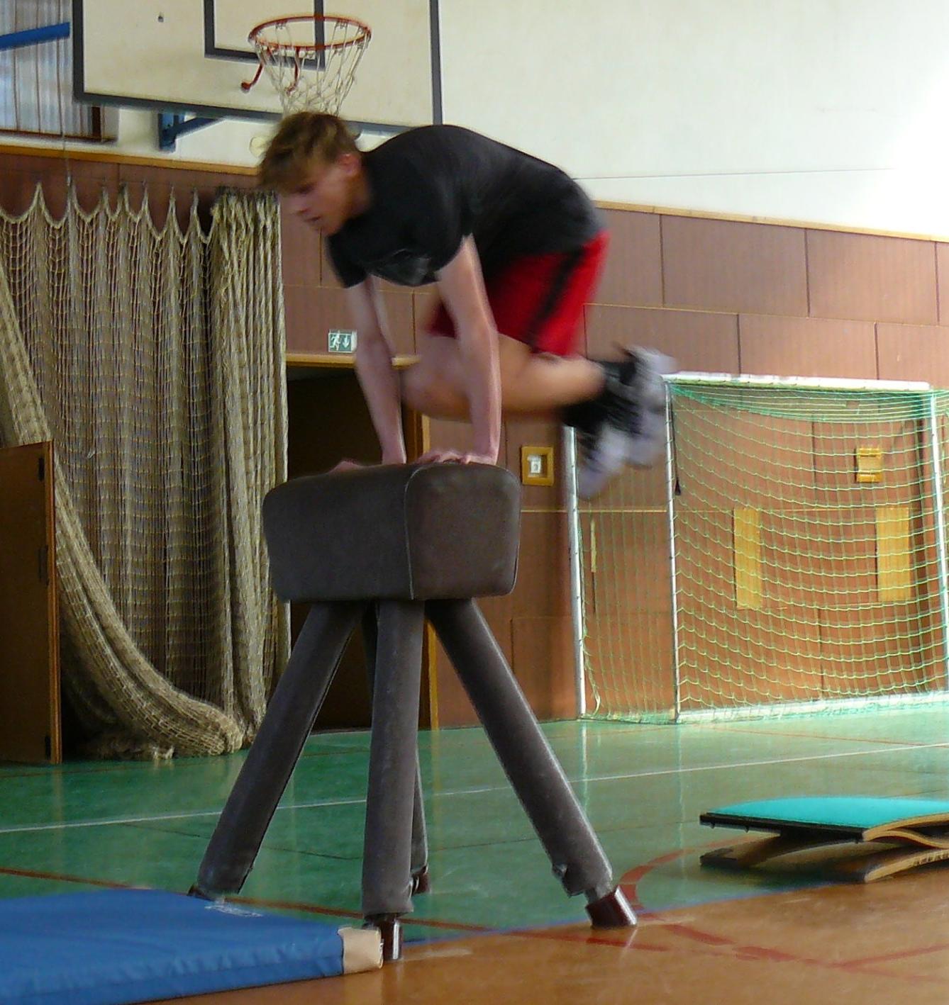 XVII. ročník školního kola SPORTOVNÍ GYMNASTIKY - 16