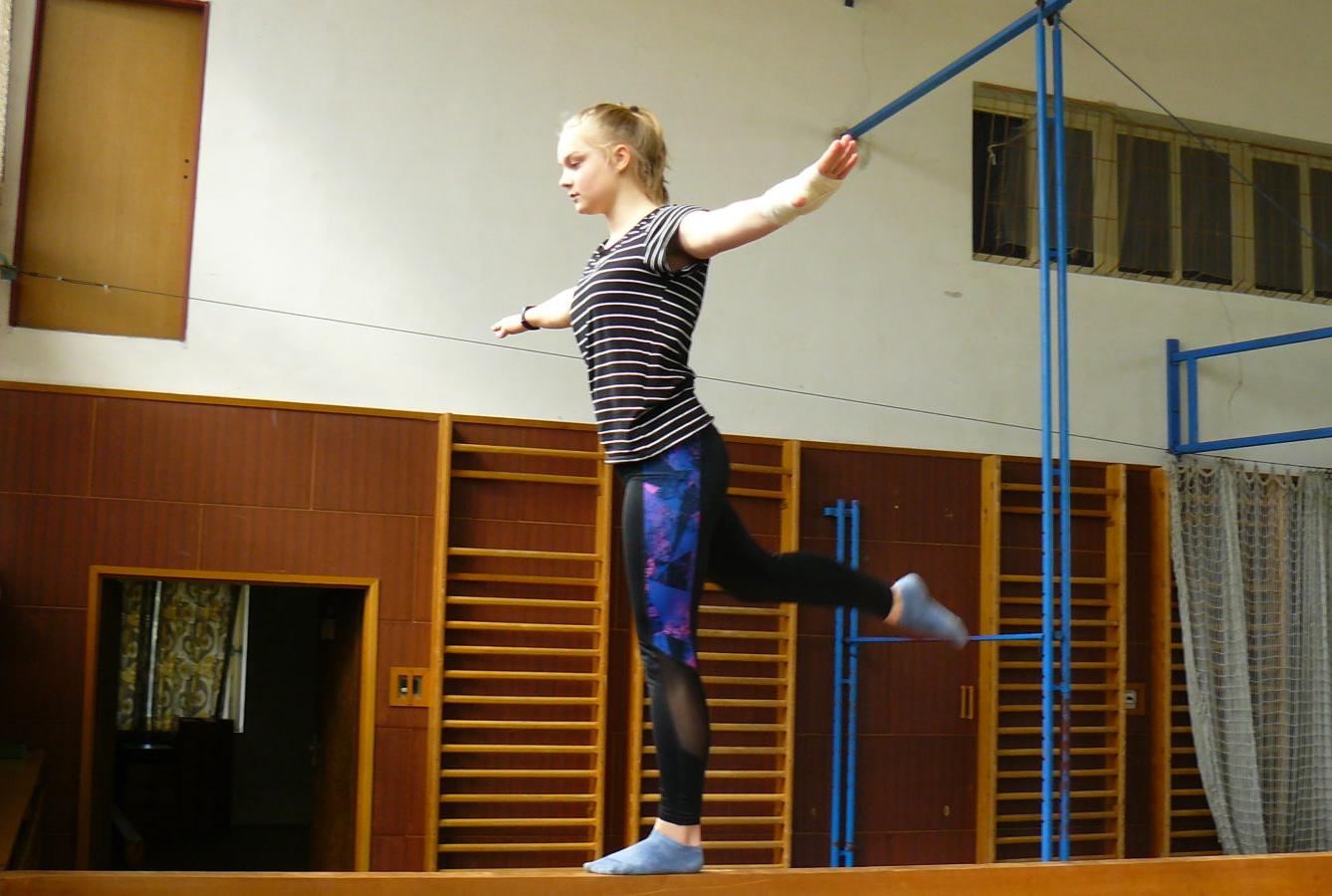 XVII. ročník školního kola SPORTOVNÍ GYMNASTIKY - 22