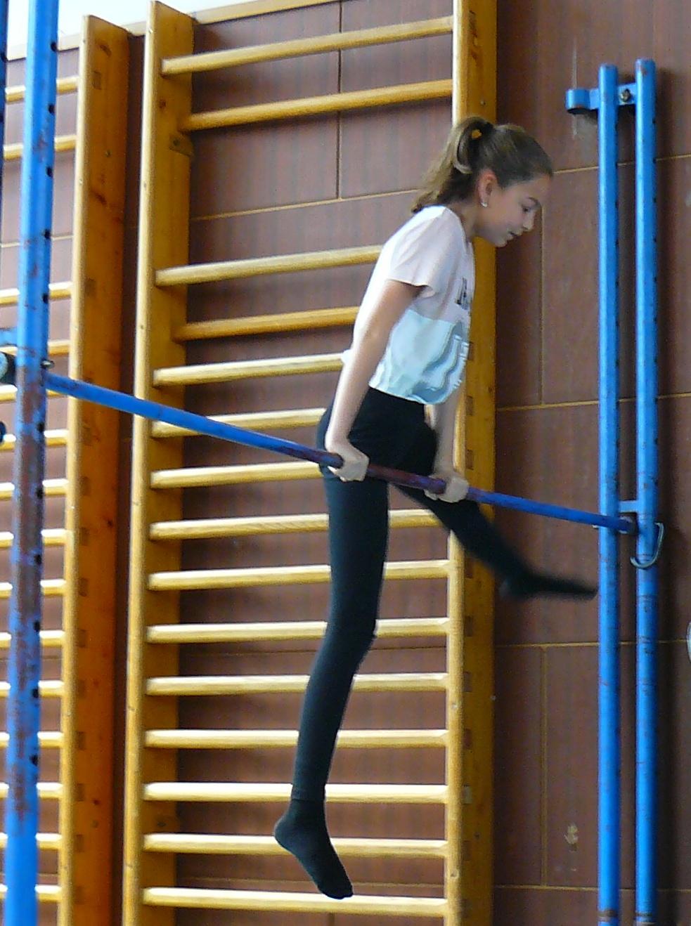 XVII. ročník školního kola SPORTOVNÍ GYMNASTIKY - 28