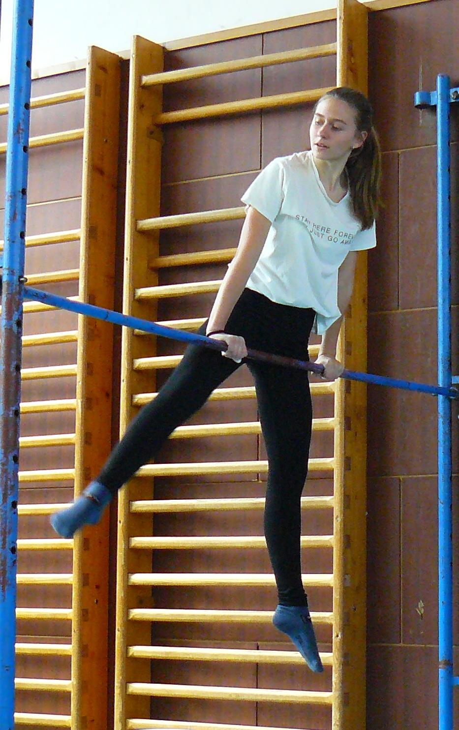 XVII. ročník školního kola SPORTOVNÍ GYMNASTIKY - 29