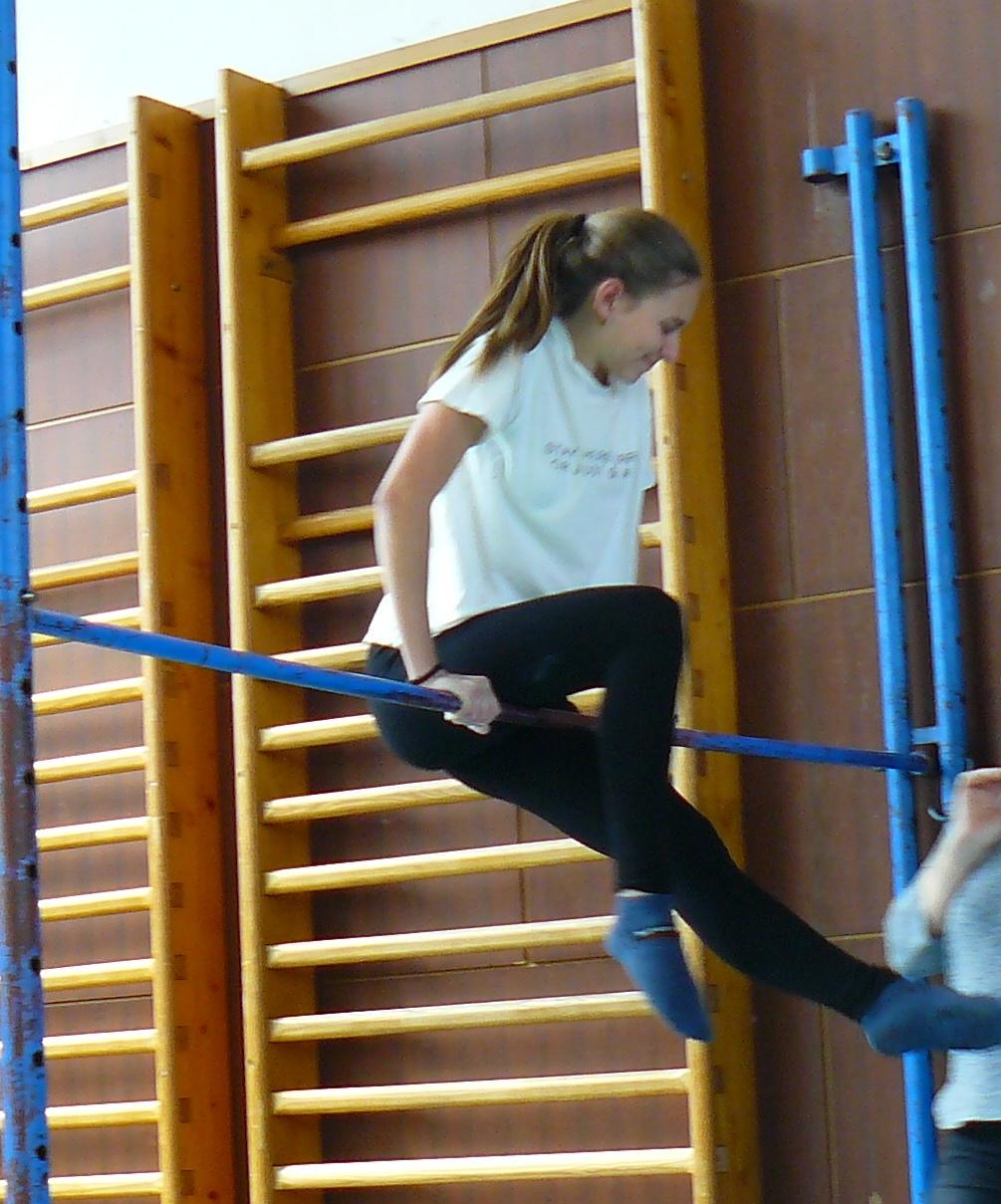 XVII. ročník školního kola SPORTOVNÍ GYMNASTIKY - 30