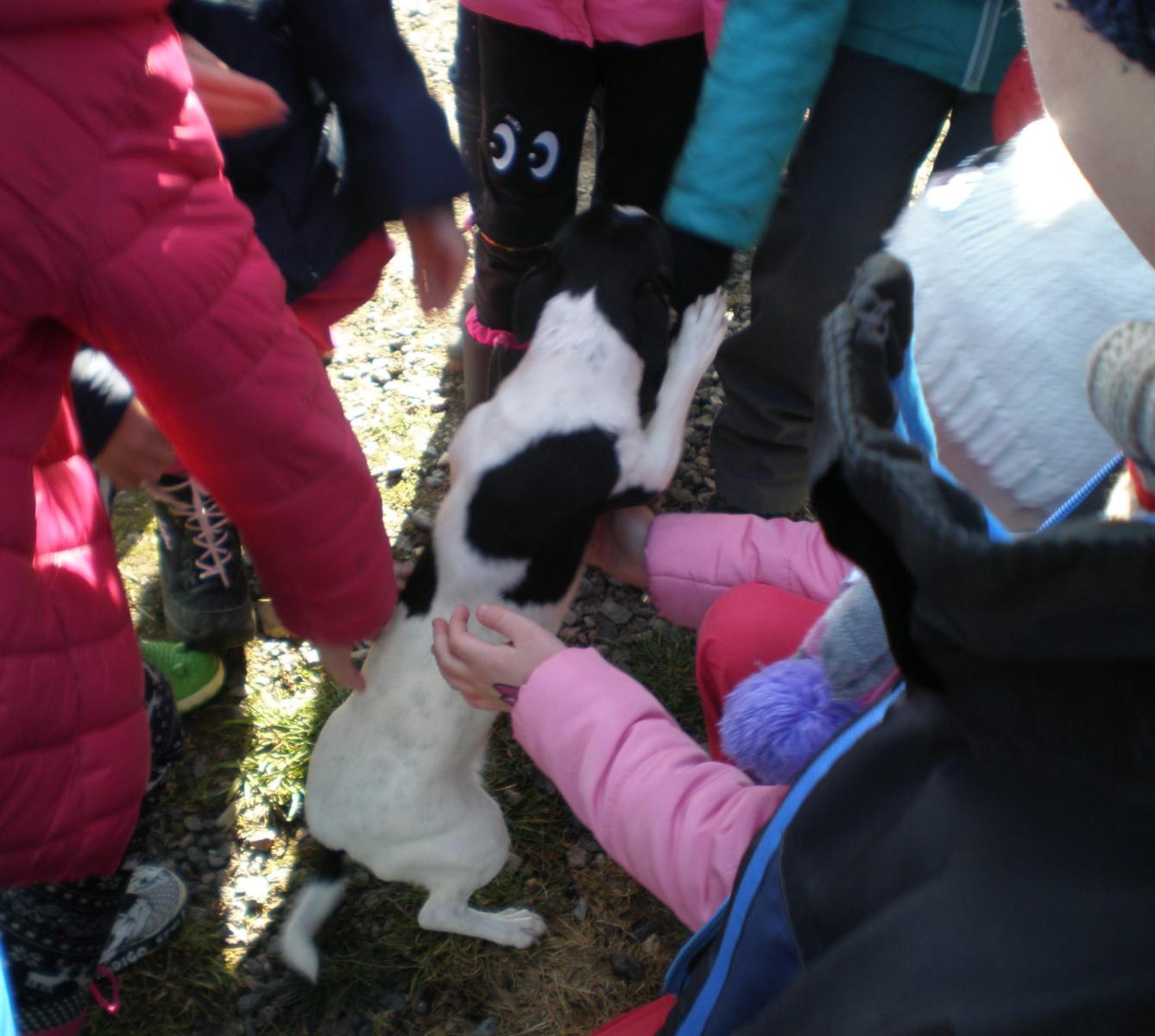 Výprava druháčků za jehňaty - 11