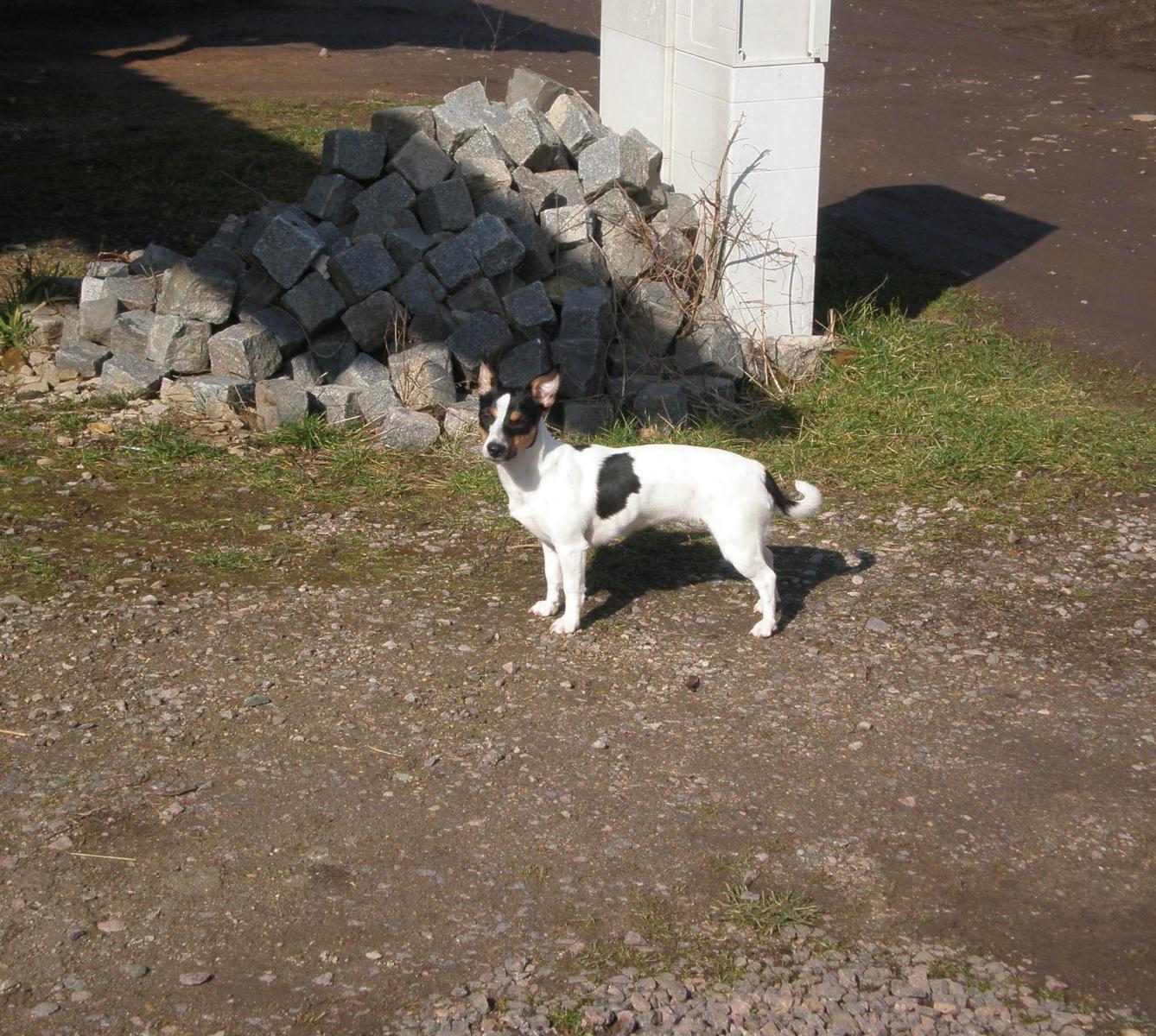 Výprava druháčků za jehňaty - 13