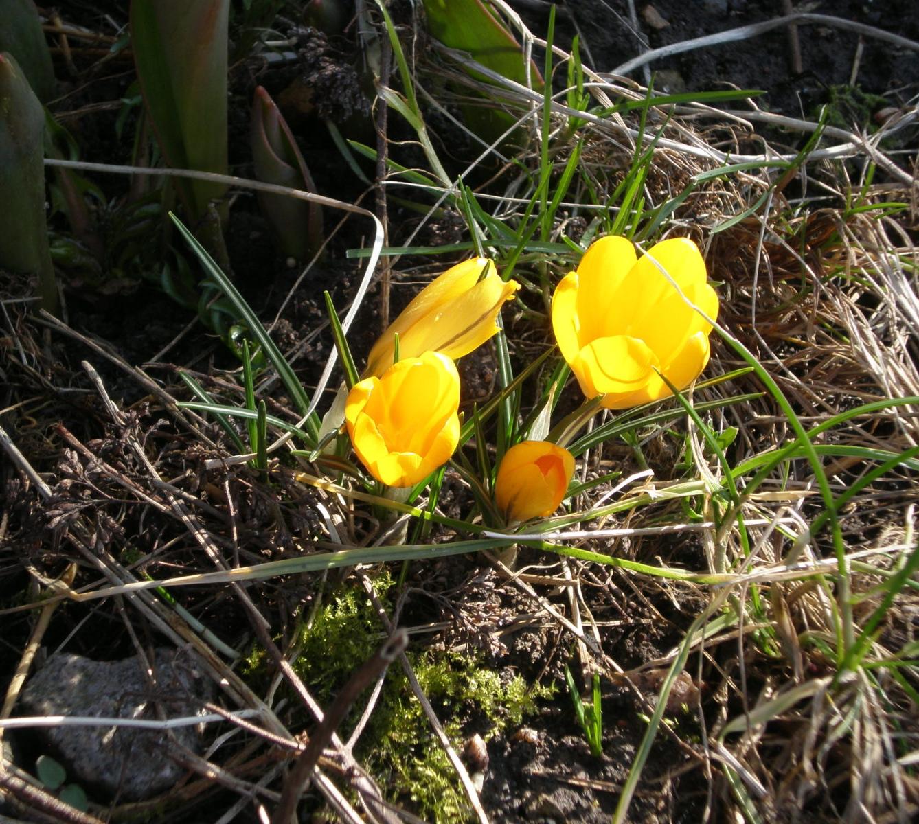 Výprava druháčků za jehňaty - 16