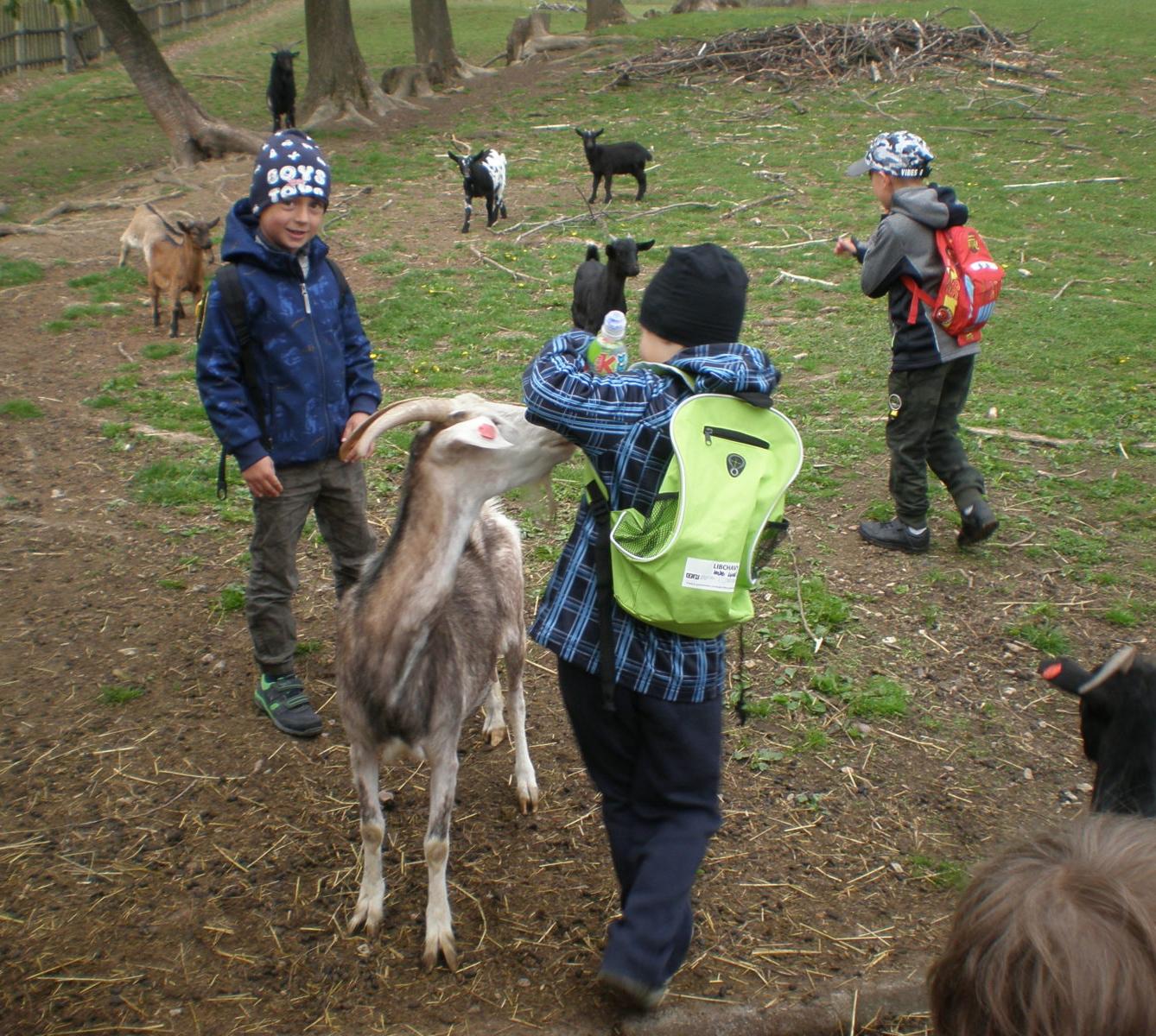 Výprava prvňáčků za zvířaty - 2