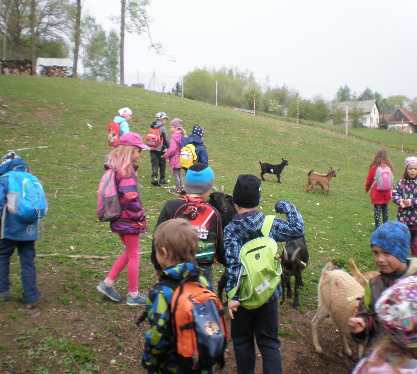 Výprava prvňáčků za zvířaty - 3