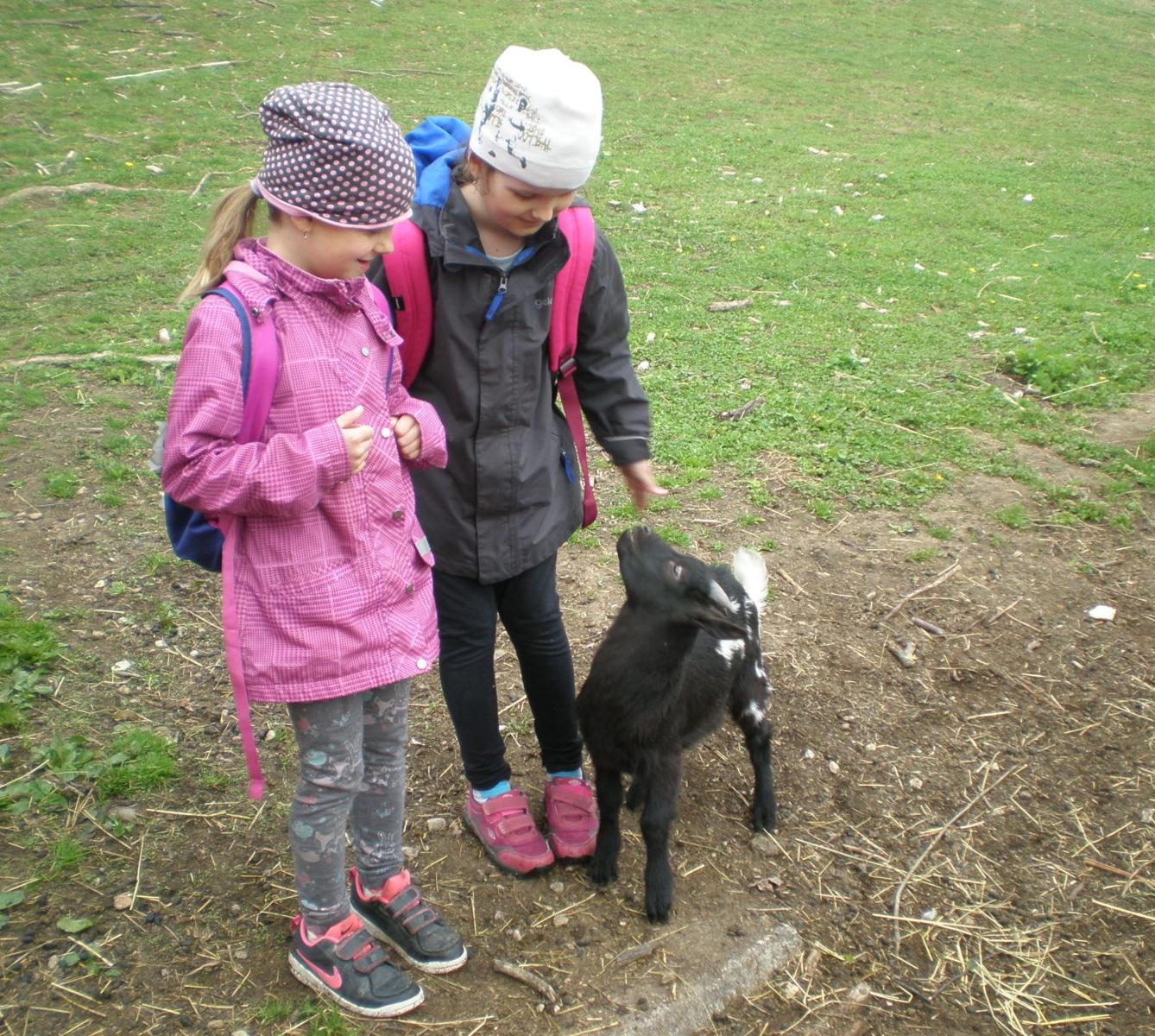 Výprava prvňáčků za zvířaty - 6