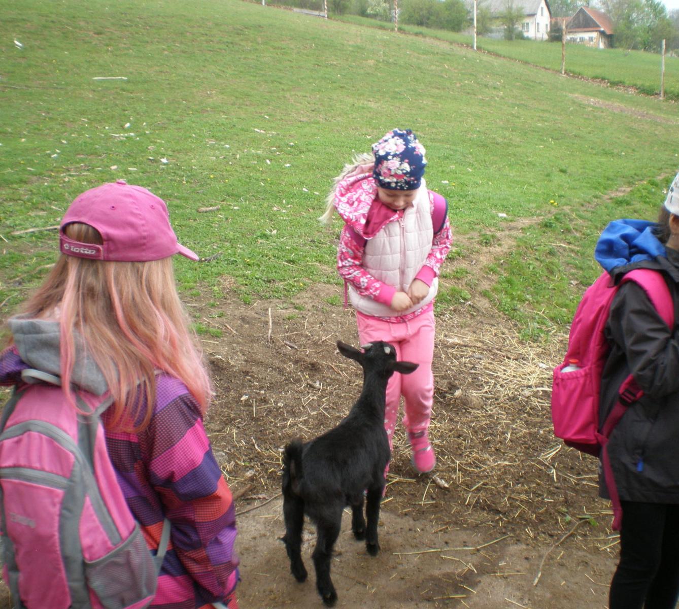 Výprava prvňáčků za zvířaty - 7