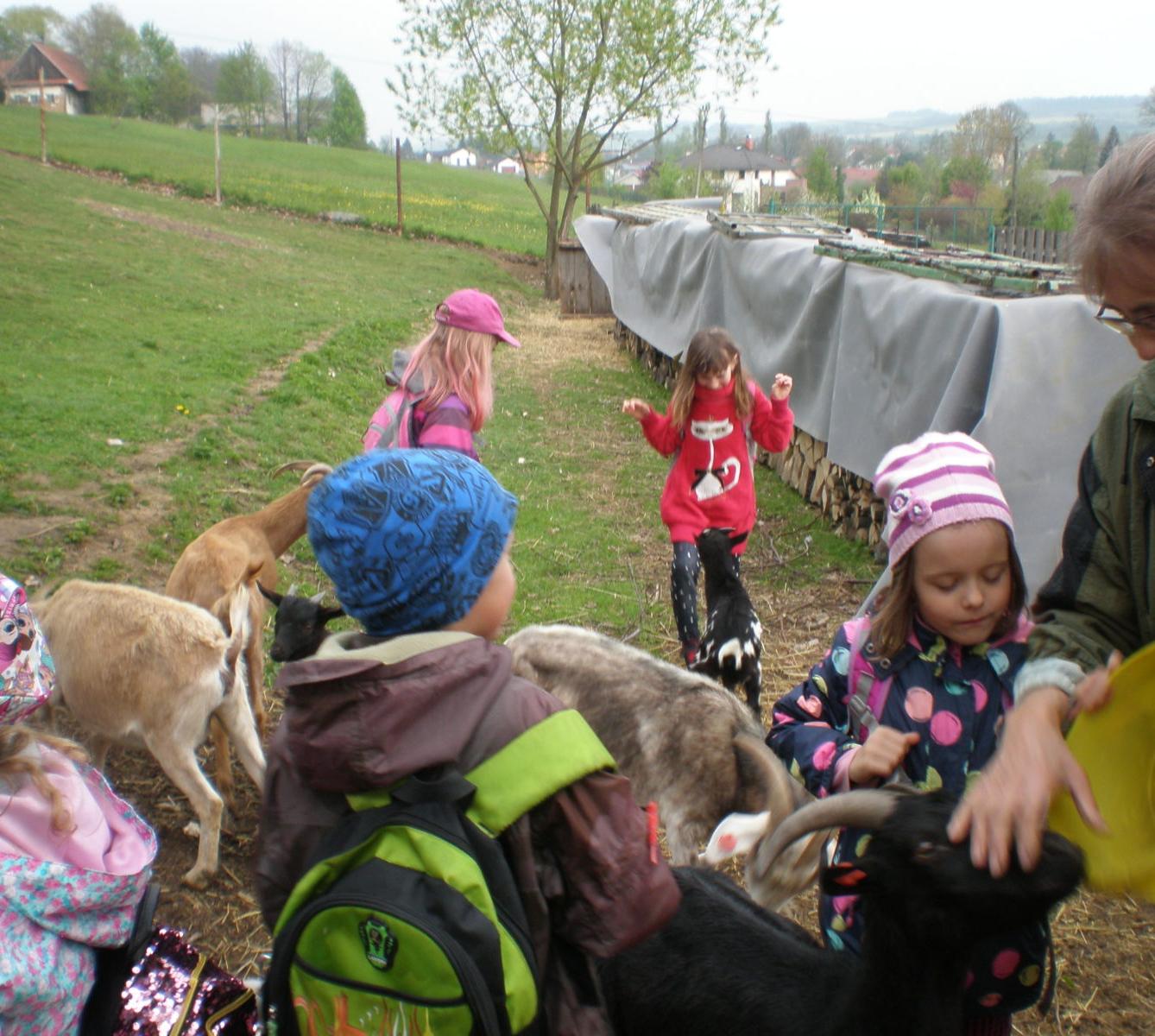 Výprava prvňáčků za zvířaty - 8