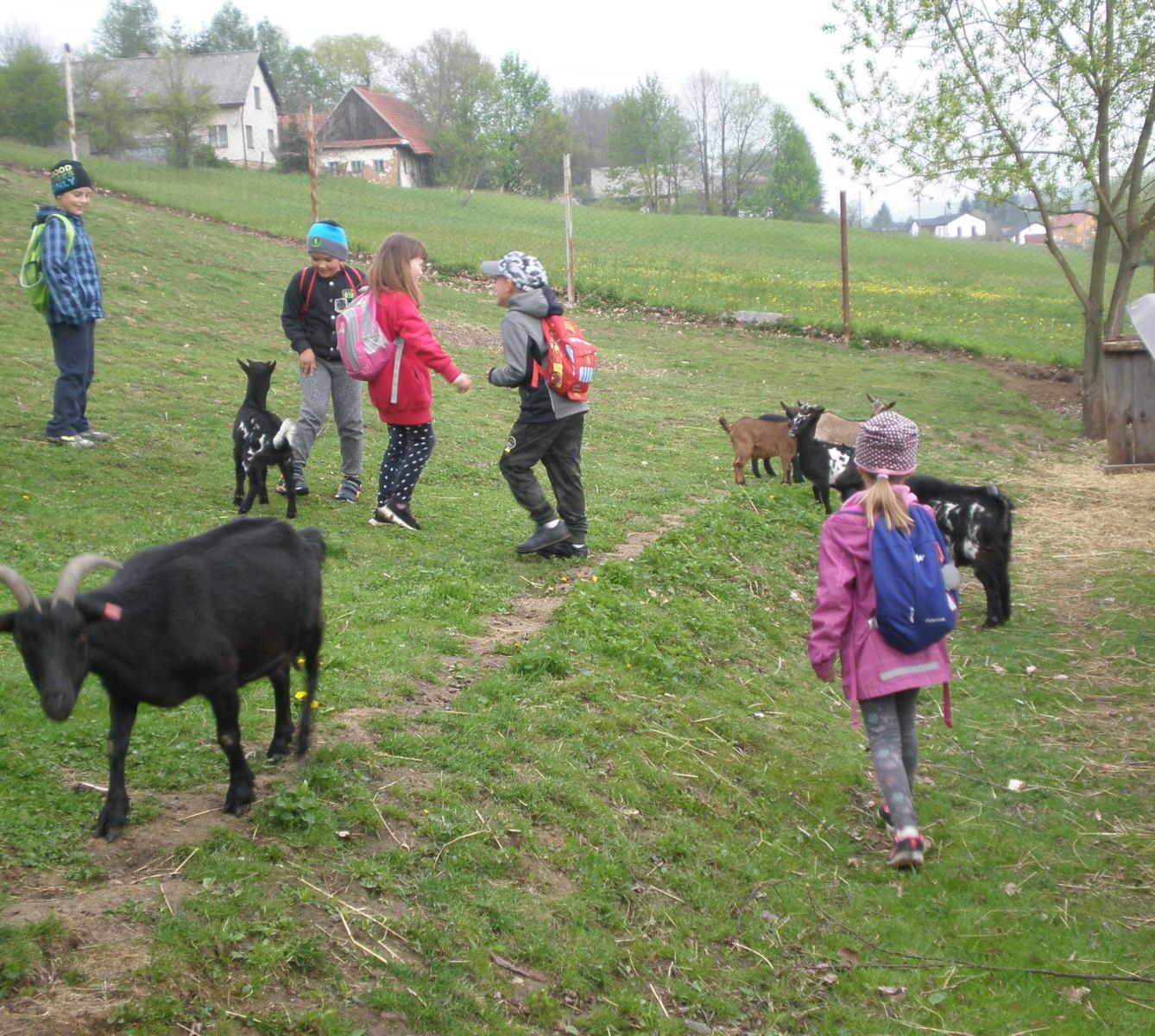 Výprava prvňáčků za zvířaty - 9