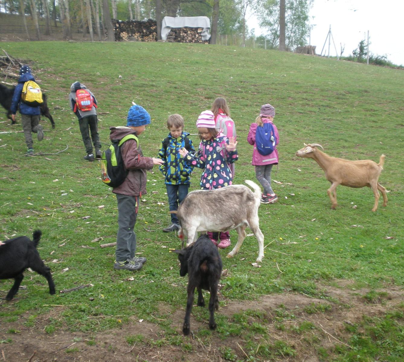 Výprava prvňáčků za zvířaty - 10