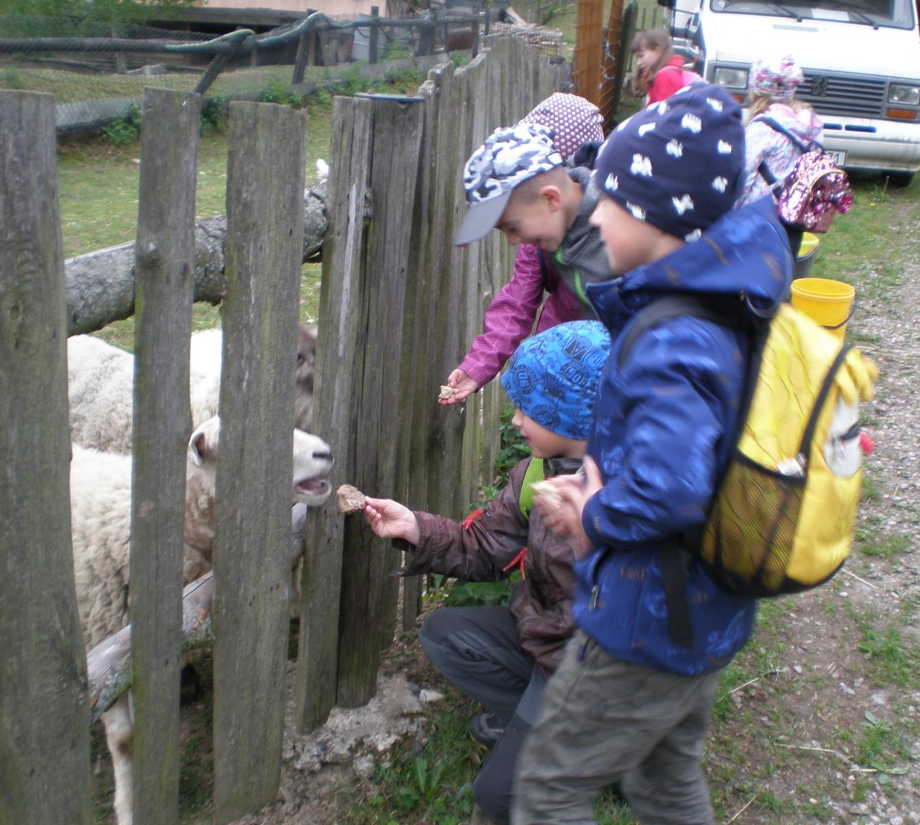 Výprava prvňáčků za zvířaty - 15