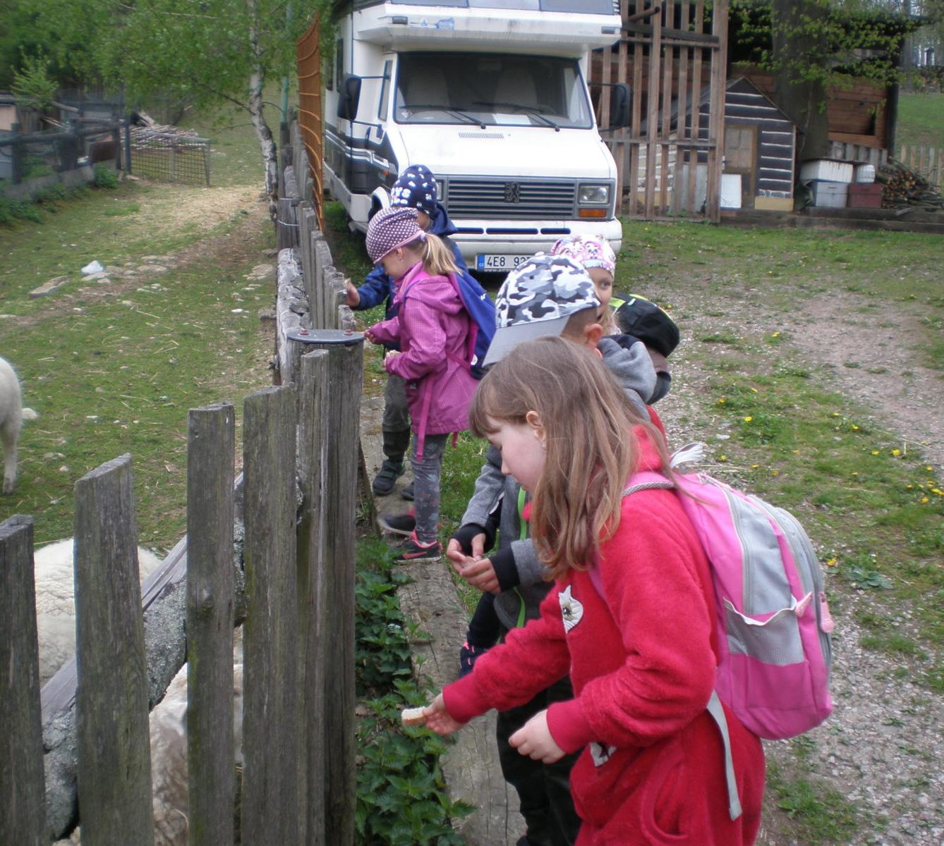 Výprava prvňáčků za zvířaty - 16