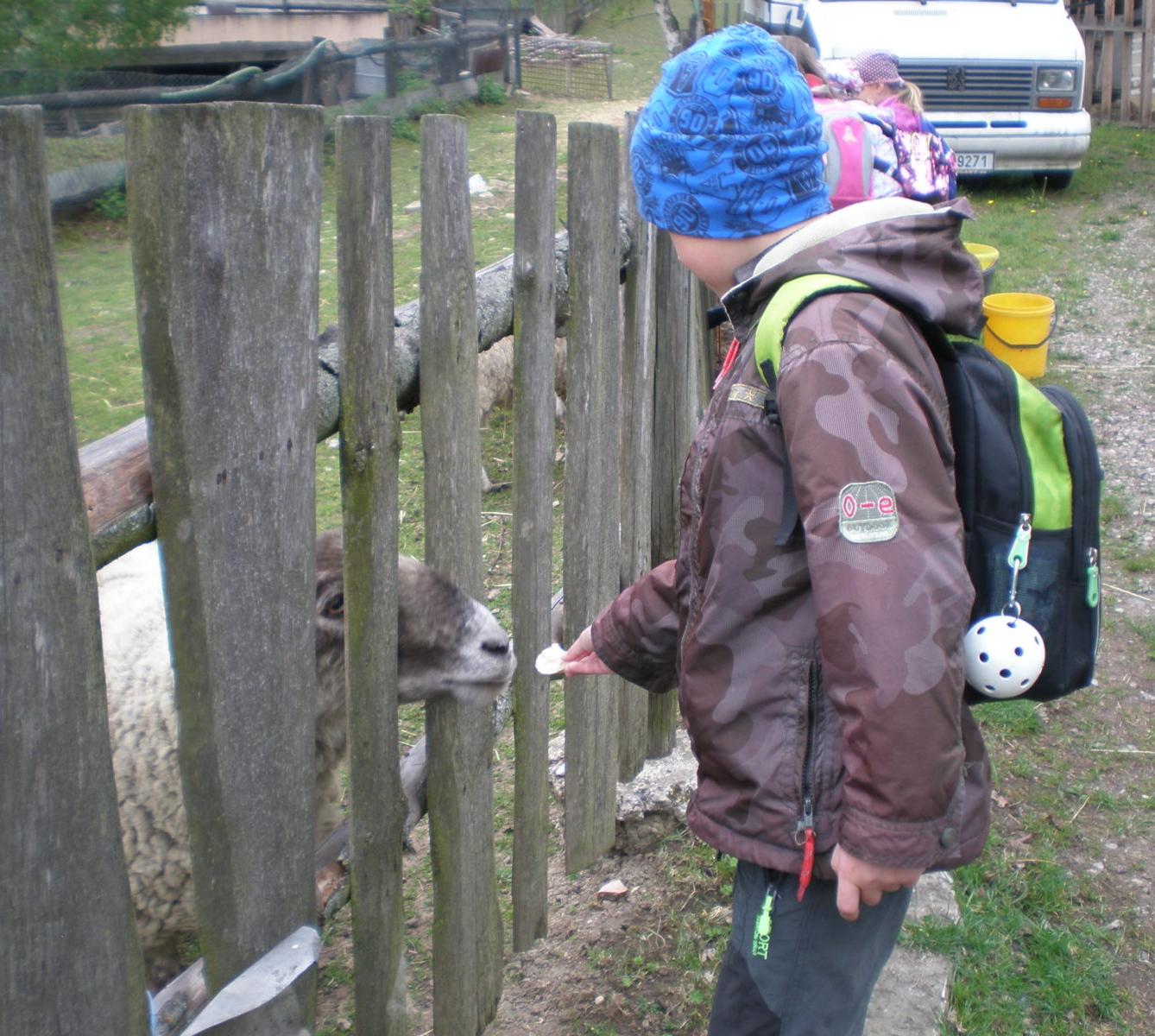 Výprava prvňáčků za zvířaty - 17