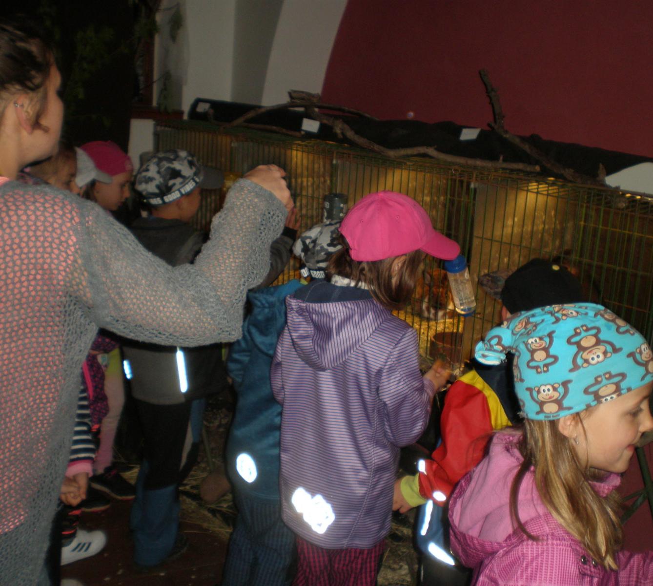 Výlet 1. třídy do Potštejna - 9